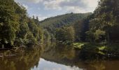 Excursión Senderismo Houffalize - tour du lac des 2 ourthes - barrage de Nisramont  - Photo 15