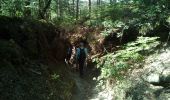 Tocht Stappen Poigny-la-Forêt - Poigny la forêt - Photo 10