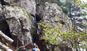 Excursión Senderismo Le Valtin - Les Rochers des Hirschsteine - Lac Vert - Photo 4