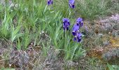 Tour Wandern Villasavary - Sentier des orchidées JLC1 - Photo 1
