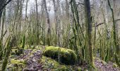 Excursión Senderismo Dortan - Boucle sur les hauteurs de Dortan  - Photo 8