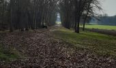 Excursión Senderismo Courances - Courabces,Moigny,Videlles ,Dannemois - Photo 1