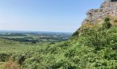 Tour Wandern Plounéour-Ménez - Roch Trévézel  - Photo 4