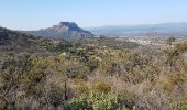 Trail Walking Roquebrune-sur-Argens - ROQUEBRUNE SUR ARGENS - A L'OUEST DE LA FLUTE - Photo 6