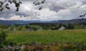 Trail Walking Soultzeren - Lac de Forlet Hohrodberg  - Photo 2