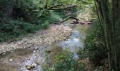 Tour Wandern Montjoyer - Le ruisseau de citelles (Alerac 26) - Photo 3