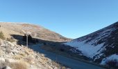 Excursión Senderismo Soleilhas - Le Crémon depuis le Col St Barnabé  - Photo 5