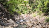 Randonnée Marche Pointe-Noire - Guadeloupe - Saut de l'Acomat - Photo 2