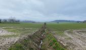 Tour Wandern Frasnes-lez-Anvaing - Oeudeghien 9,2 km - Photo 7