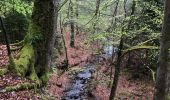 Randonnée Marche Nassogne - Grune - Photo 18