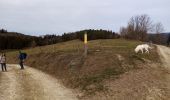 Trail Walking La Chapelle-en-Vercors - Le tour de la Chapelle en Vercors - Photo 8