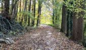 Trail Walking Anhée - Randonnée pédestre Abbaye Maredsous - Photo 15