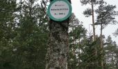 Tour Wandern Sankt Kreuz im Lebertal - boucle col haut de Ribeauvillé - taennchel sentier des roches  - Photo 15