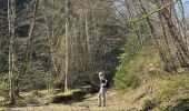 Randonnée Marche Bouillon - Corbion  - Photo 20