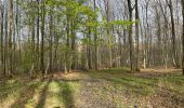 Tocht Stappen Corcy - en forêt de Retz_91_04_2022_la Laie de la Belle Epine - Photo 3
