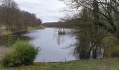 Tour Wandern Tervuren - 2020-03-15 - Tervuren - Étangs de Vossem - Photo 10