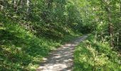 Trail Walking Réallon - Cabane du Vallon - Photo 2