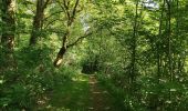 Tour Wandern Vresse-sur-Semois - LAFORÊT ... un des plus beaux villages de Wallonie. - Photo 4