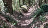 Trail Walking Calan - PR_56_Calan_AA_01_Circuit1b_Du-Lech_20240508 - Photo 7