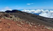 Trail Trail Salazie - piton des neige par cap anglais - Photo 3