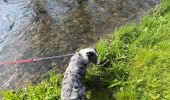 Trail Walking Aix-en-Issart - Sentier du paradis - Photo 11