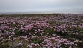 Tocht Stappen Quiberon - Quiberon jardin ancien sémaphore cote sauvage - Photo 8