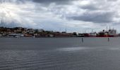 Tocht Te voet Onbekend - Enbart promenader 4,5 km - Photo 7