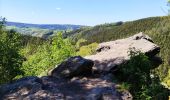 Tocht Stappen Malmedy - Les deux rochers  - Photo 5