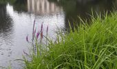 Trail Walking Sceaux - parc de sceaux, arboretum,vallee aux loups etang colbert - Photo 12