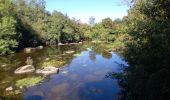 Tocht Stappen Boussay - Boussay - Clisson  - Photo 14