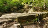 Trail Walking Saverne - Saverne : rocher Rappenfels - grotte St Vit - château Greifenstein - Photo 3