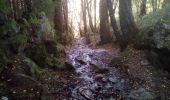 Tour Wandern Capoulet-et-Junac - Tour de la bouiche de Gesties - Photo 8