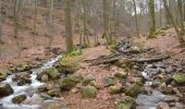 Trail Walking Spa - 20230313 - Sauveniere 6.5 Km - Photo 15