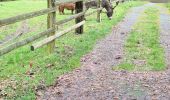 Trail Walking Bouillon - Frahan - Photo 1