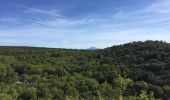 Excursión Senderismo Sérignan-du-Comtat - PF-Sérignan-du-Comtat - Le Bois de la Montagne - Photo 6