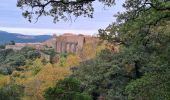 Tocht Stappen Bormes-les-Mimosas - Chartreuse de la Verne - Photo 6