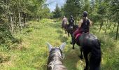 Tocht Paardrijden Vielsalm - Mont-le-Soie Boucle orange - Photo 20