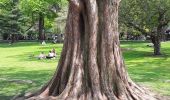 Excursión Senderismo Desconocido - Balade au Public Garden à Boston  - Photo 9