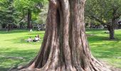 Tocht Stappen Onbekend - Balade au Public Garden à Boston  - Photo 9