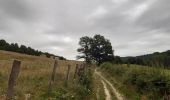Trail Walking Stavelot - rando de la truite : stavelot . challes . warche . chevaufosse . challes . stavelot - Photo 11