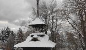 Randonnée A pied Prostřední Bečva - NS Radegast - Photo 4