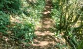 Trail Walking Souclin - 01-soudon-cleyzieu-20km825m - Photo 7
