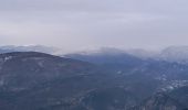 Tour Schneeschuhwandern Beaumont-du-Ventoux - raquettes Mont Serein - Photo 2