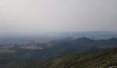 Excursión Marcha nórdica Montpeyroux - Font du Griffe Mont St Baudille Mars 2022 - Photo 12