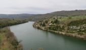 Randonnée Marche Poncin - Le Tour de l'Ain de Poncin à Serrières-sur-Ain et retour - Photo 4