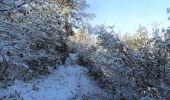 Tocht Stappen Séranon - Seranon  Crête du Bauroux  - Photo 3