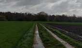 Trail Walking Chapelle-lez-Herlaimont - Promenade Piedescaus  - Photo 5