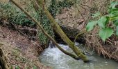 Excursión Senderismo Chaumont-Gistoux - #240216 - Bonlez, Aftia, Bruyères, Champ des Goffes**** - Photo 12