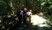Trail Walking Bonnelles - Bornnelles - Photo 7