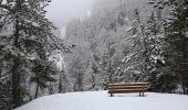 Tocht Sneeuwschoenen Uvernet-Fours - Pra Loup - Cabane Forestière du Fau - Photo 3